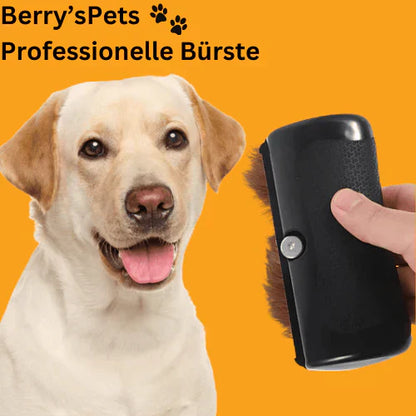 💥Pet Professional kefe🐶🐱