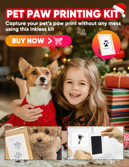 🎁🐶Kutyus mancsnyom-készlet kártyákkal és kerettel🐾🐾