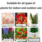 👍[Növényi szakértők ajánlása]🌿Növény és virág aktiváló folyékony oldat