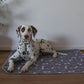🔥Prémium újrafelhasználható, balesetbiztos kutyapárnák🐾 (cica és egyéb háziállatok)