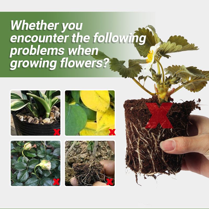 🔥Speciális csontliszt szerves trágya - A virágok és gyümölcsök növekedésének elősegítése